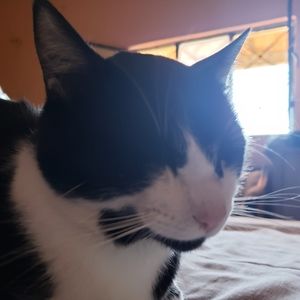 Meet your Posher, Esperanza